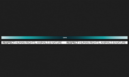 PS-Corris_AG-Paul_Schmidt-Grafik_Designer-Schlüsselband 